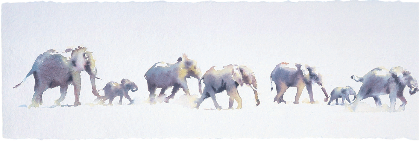 Wild Intervals 25 x 102 cm 10 x 40 in Watercolour can suggest so much - photo 4