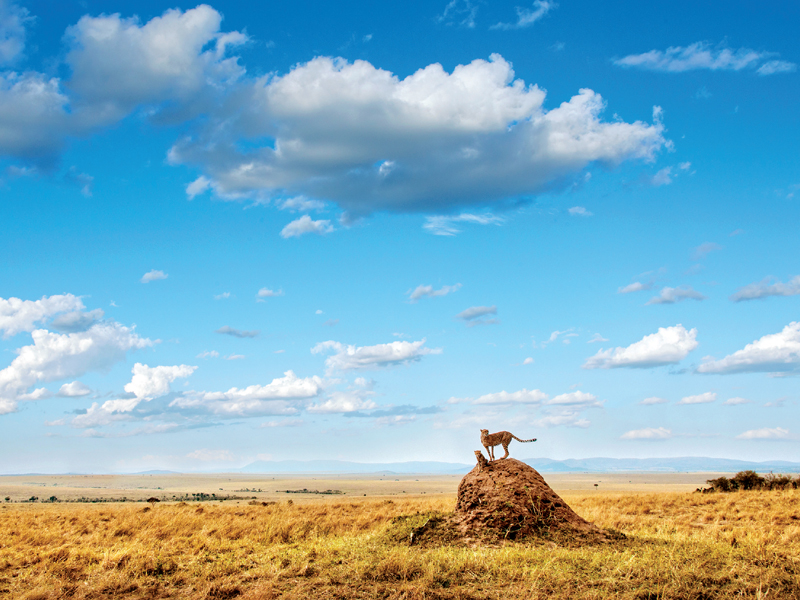 Maasai Mara Kenya MIKE HILLGETTY IMAGES New York City USA MICHAEL - photo 7