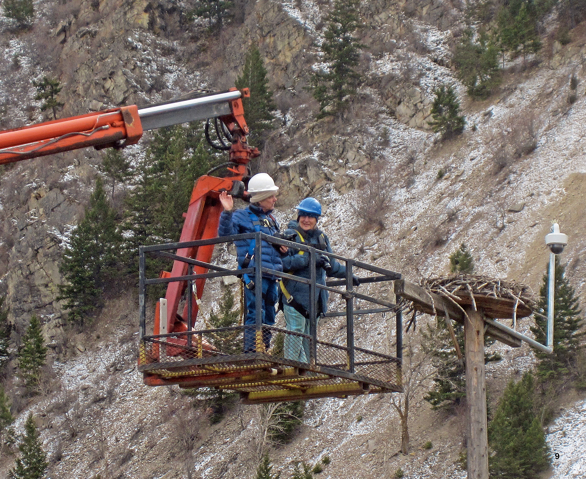 Dorothy and Bill go up to take a look at the Hellgate osprey nest CHAPTER ONE - photo 4