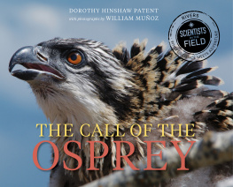 Dorothy Hinshaw Patent The Call of the Osprey