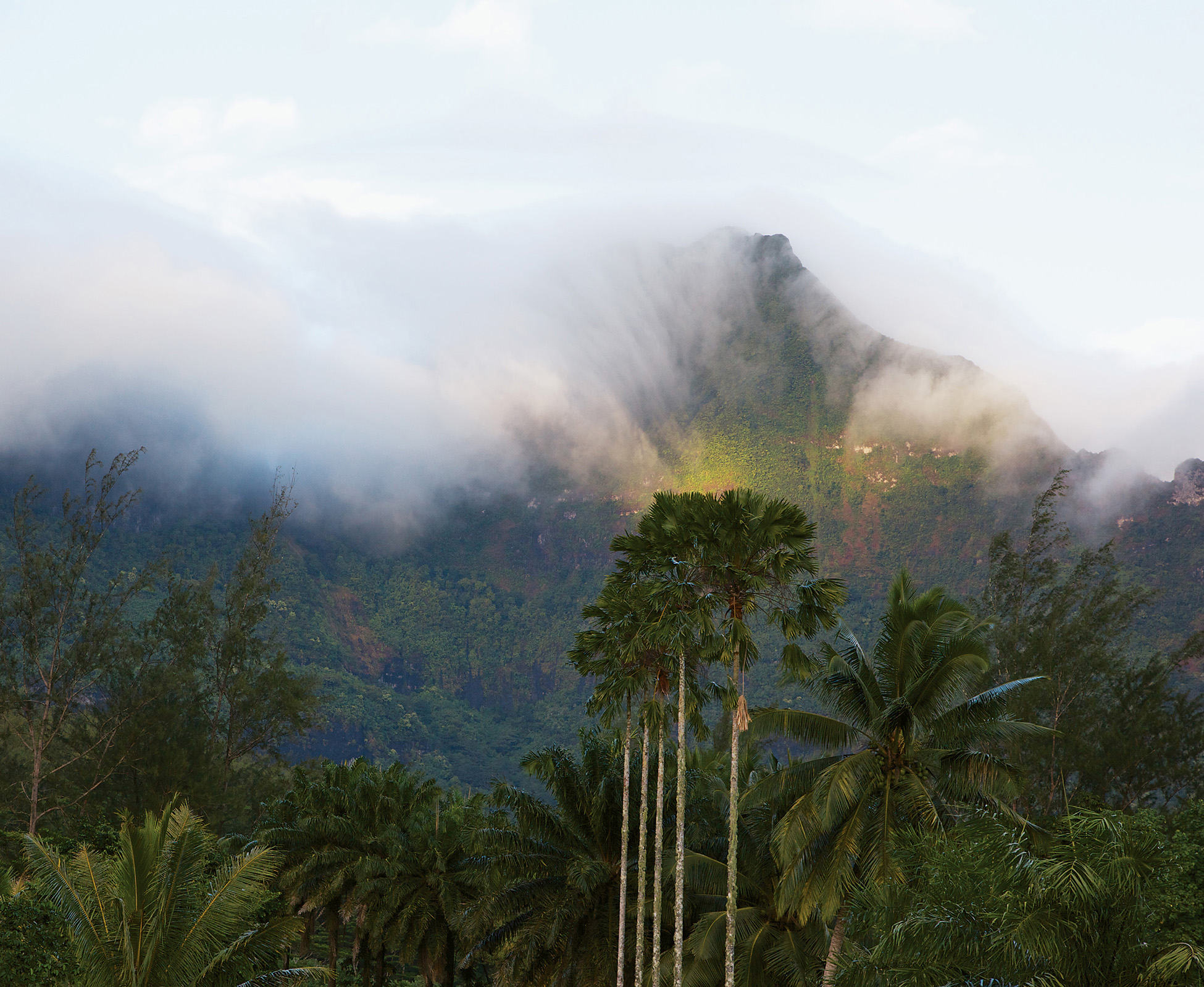 Chapter 1 The ocean is the worlds largest wilderness covering 70 percent of - photo 4