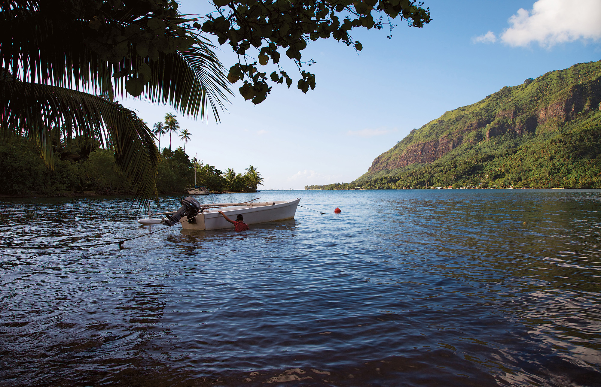 The ocean is the worlds largest wilderness covering 70 percent of the surface - photo 5