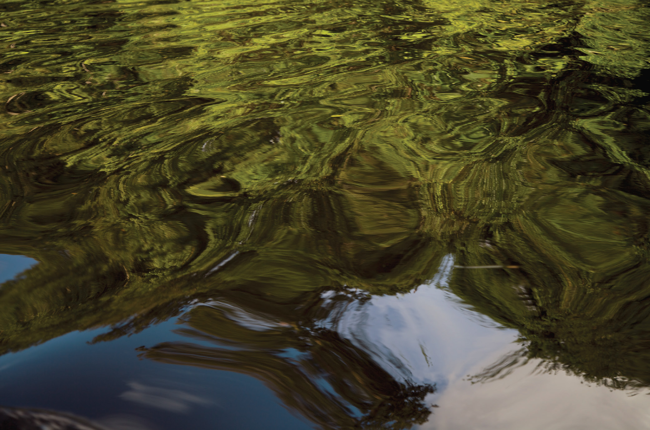 The rivers glassy surface reflects the trees and the sky But when his group - photo 10