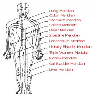 A sample of some Meridian lines in the body - from wwwtotalyouwellnesscom - photo 4