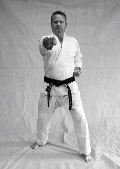 The typical punch used in karate and taekwondo The punch as used in the - photo 2