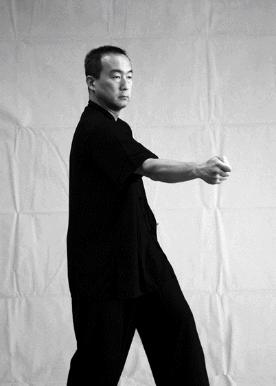 The punch as used in the soft style of xingyiquan Not to be so easily - photo 3