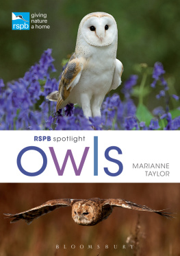 Marianne Taylor RSPB Spotlight: Owls