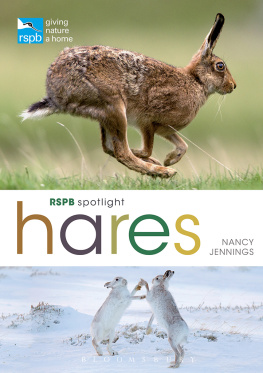 Nancy Jennings RSPB Spotlight: Hares