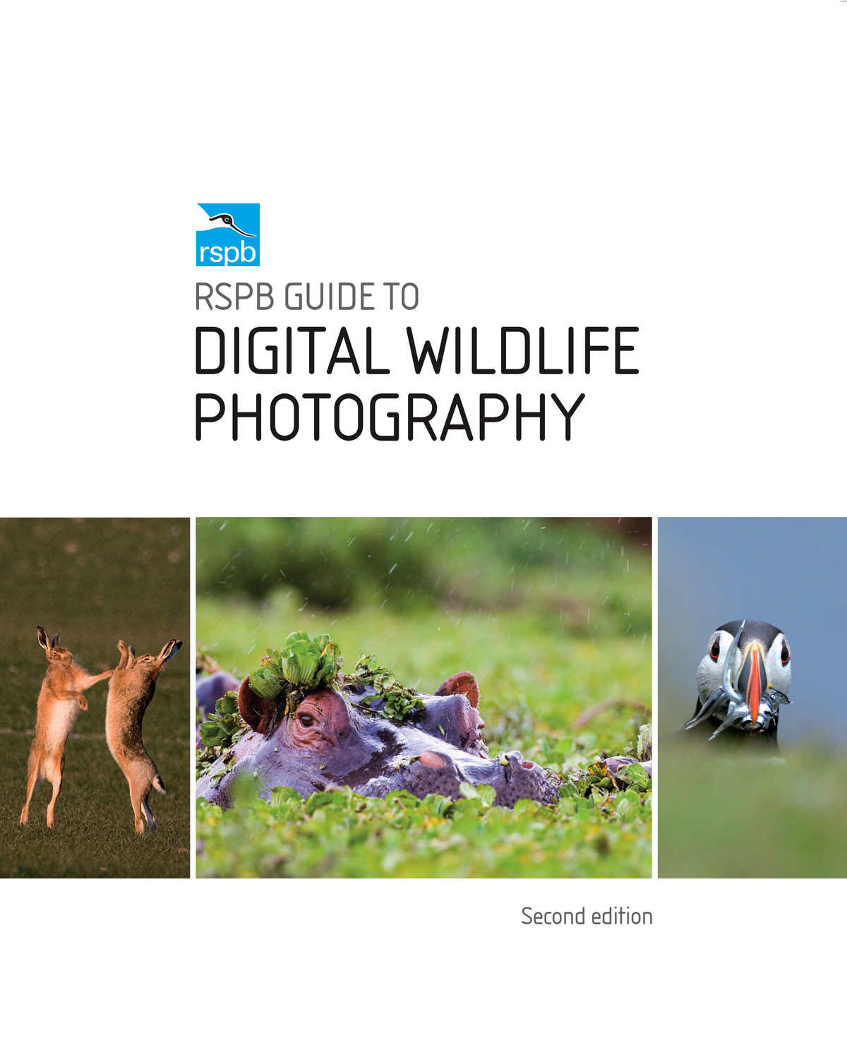 Contents Introduction Digital photography has evolved rapidly leading to an - photo 2