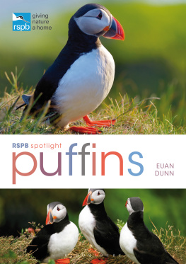 Euan Dunn RSPB Spotlight: Puffins