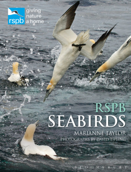 Marianne Taylor RSPB Seabirds