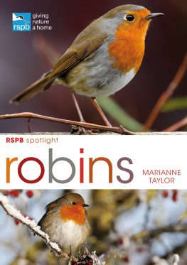Marianne Taylor - RSPB Spotlight: Robins