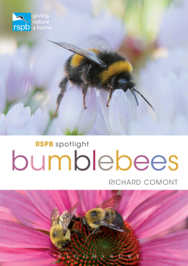 Richard Comont - RSPB Spotlight: Bumblebees