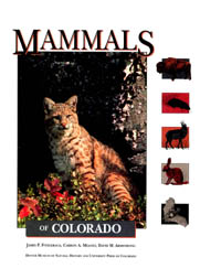 title Mammals of Colorado author Fitzgerald James P Meaney - photo 1