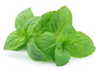 Mint is especially good for skin that needs extra especially if you have some - photo 7