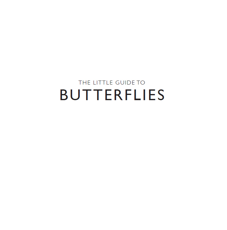 Contents Whether youre new to the world of butterflies or an avid fan - photo 2