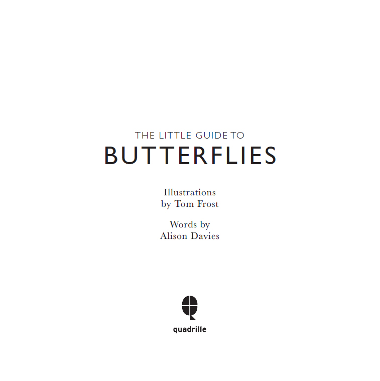 Contents Whether youre new to the world of butterflies or an avid fan - photo 4