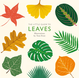 Alison Davies The Little Guide to Leaves