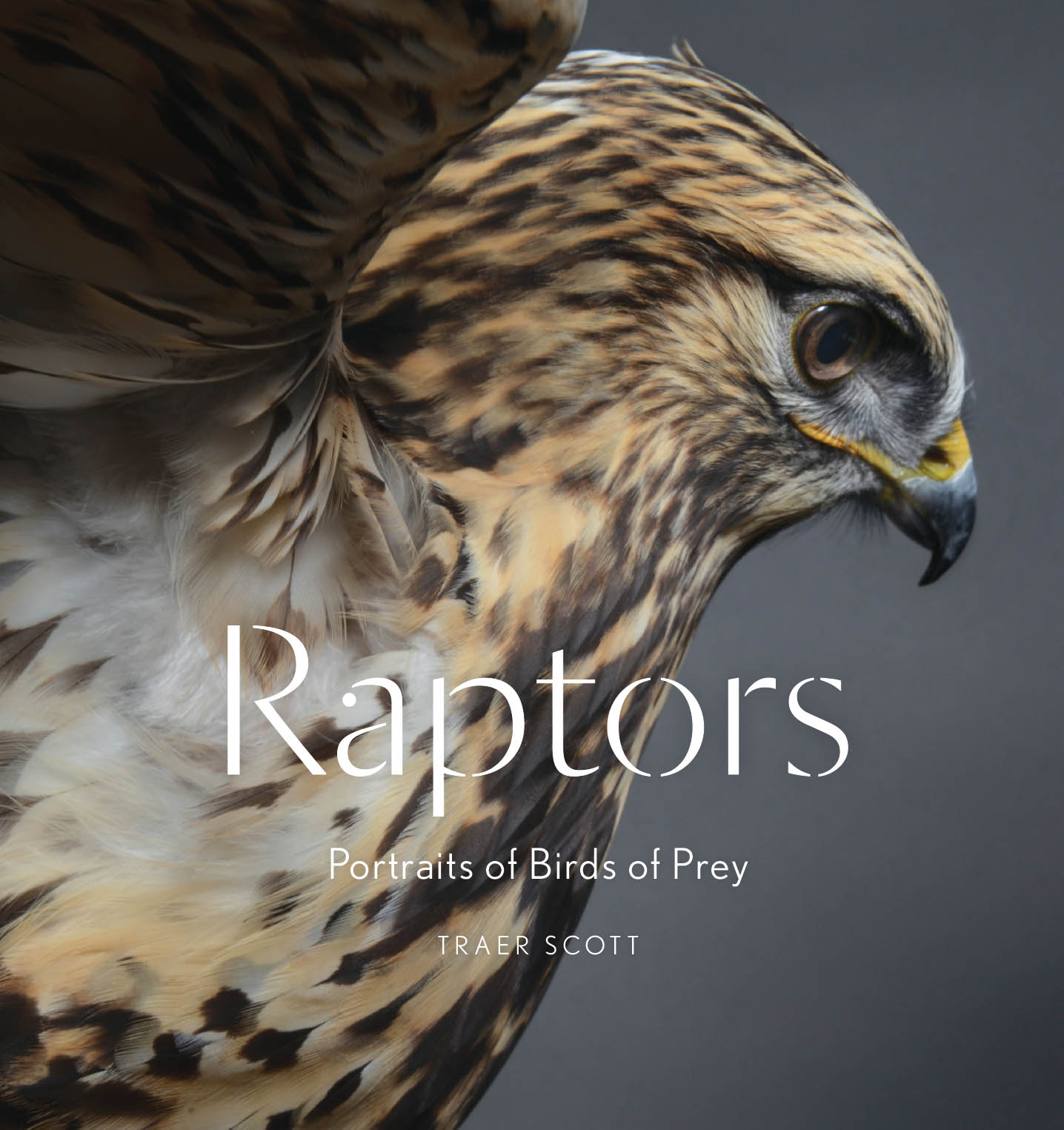 Raptors Portraits of Birds of Prey - photo 1