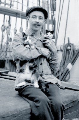 Philippa Sandall - Seafurrers: The Ships’ Cats Who Lapped and Mapped the World