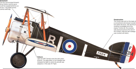 Unlike the Sopwith Pup and Triplane that preceded it the Camel was notably - photo 3