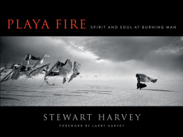 Stewart Harvey - Playa Fire: Spirit and Soul at Burning Man