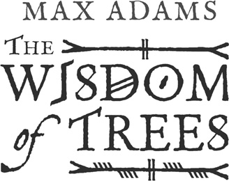 The Wisdom of Trees - image 2