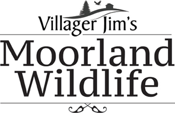 Villager Jims Moorland Wildlife - image 3