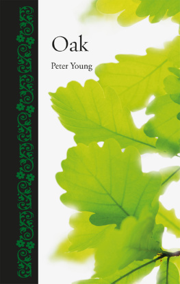 Peter Young Oak