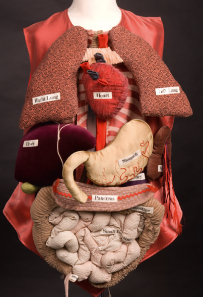 1 Jo Sheffield textile anatomy Organ Waistcoat in the Hunterian Museum - photo 3