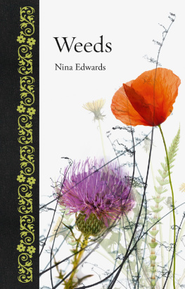 Nina Edwards - Weeds