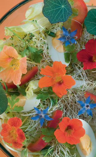 Edible Flowers A Global History - image 3