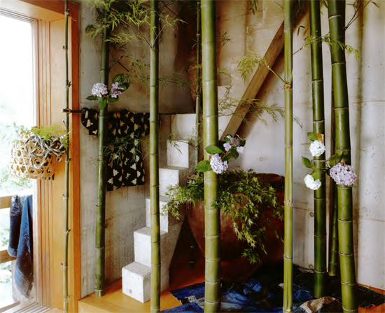 A floor-to-ceiling indigo bamboo grove with openings cut for arrangements of - photo 4