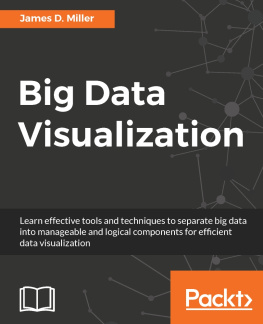James D. Miller Big Data Visualization