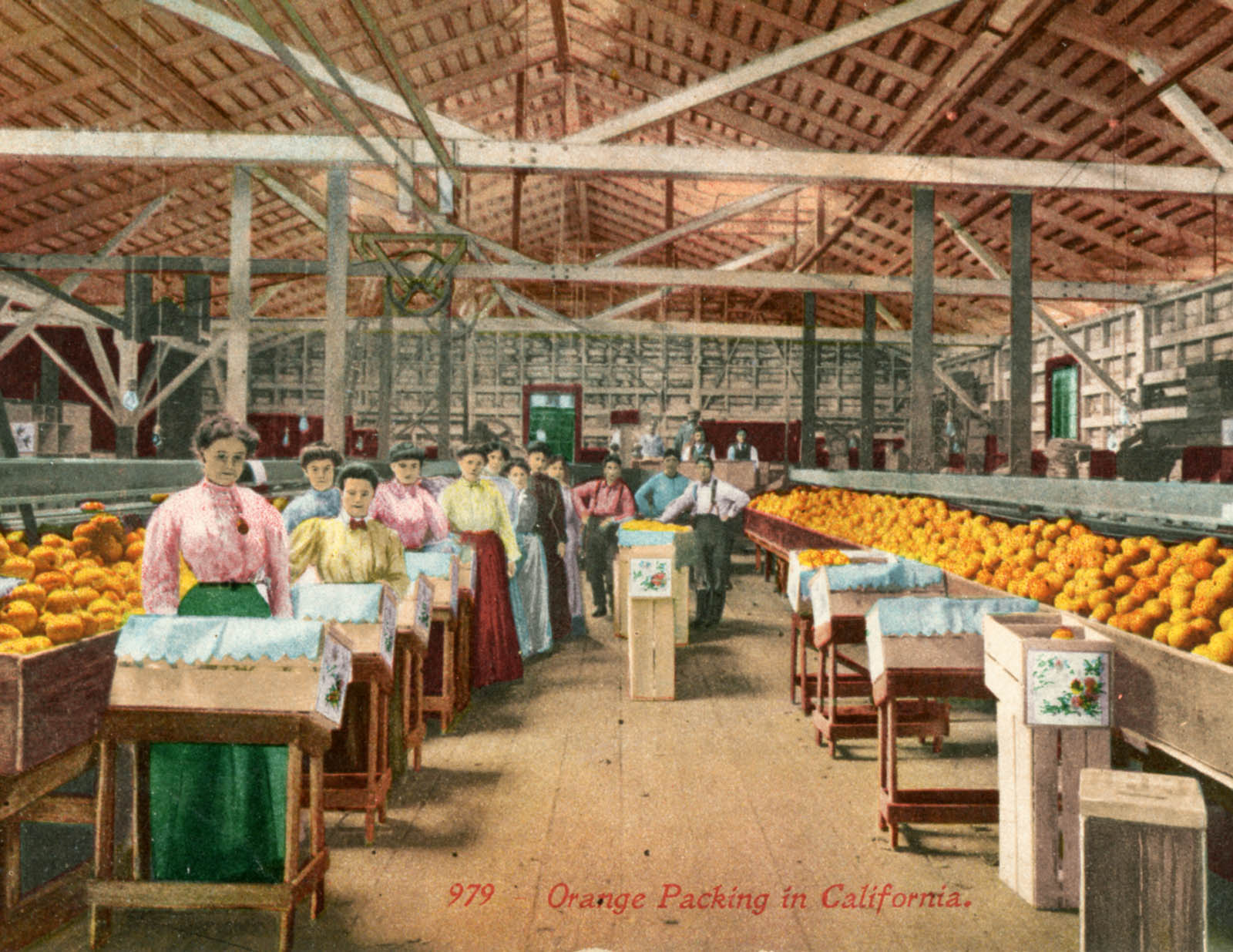 Women packing oranges for shipment east Spanish and Mexican land grants - photo 4