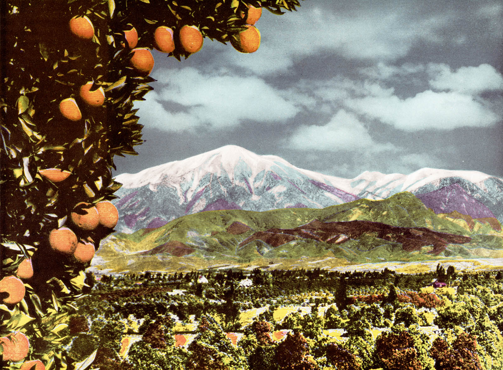 Citrus groves framed by oranges and snowcapped mountains By 1890 Los - photo 10