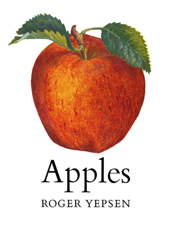 Apples WRITTEN ILLUSTRATED BY ROGER YEPSEN W W NORTON COMPANY NEW YORK - photo 1