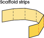 Hinge strips connect the scaffolds Hinges are what is most visible in the - photo 9