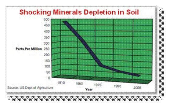 Soil Depletion It would be overkill to say that the carrot you eat today has - photo 4