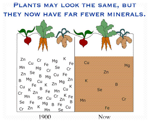 Minerals originate from soil Unlike vitamins they cannot be made by people - photo 5