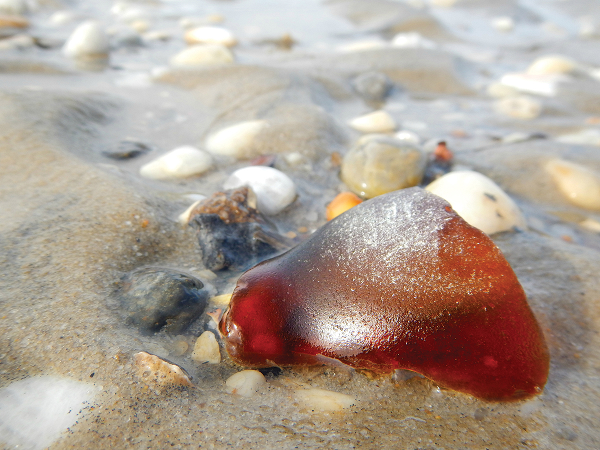 Sea Glass - photo 17