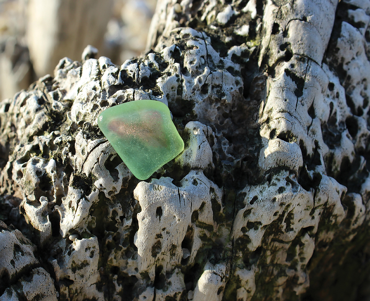 Sea Glass - photo 39