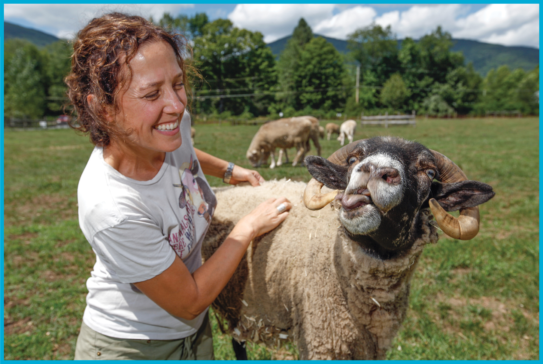 JENNY BROWN COFOUNDER OF THE WOODSTOCK FARM SANCTUARY SCRATCHES DEVLIN A RAM - photo 1