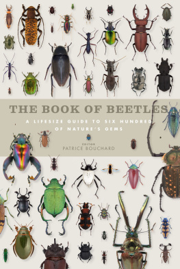 Patrice Bouchard - Book of Beetles: A Life-Size Guide to Six Hundred of Nature’s Gems