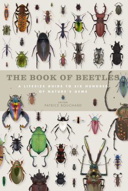 Patrice Bouchard Book of Beetles: A Life-Size Guide to Six Hundred of Nature’s Gems