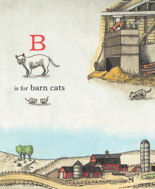 B is for barn cats - photo 17