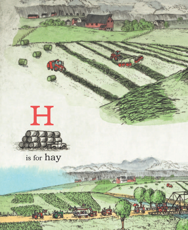 H is for hay - photo 35