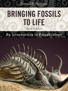Donald R. Prothero Bringing Fossils to Life: An Introduction to Paleobiology, 3rd Edition