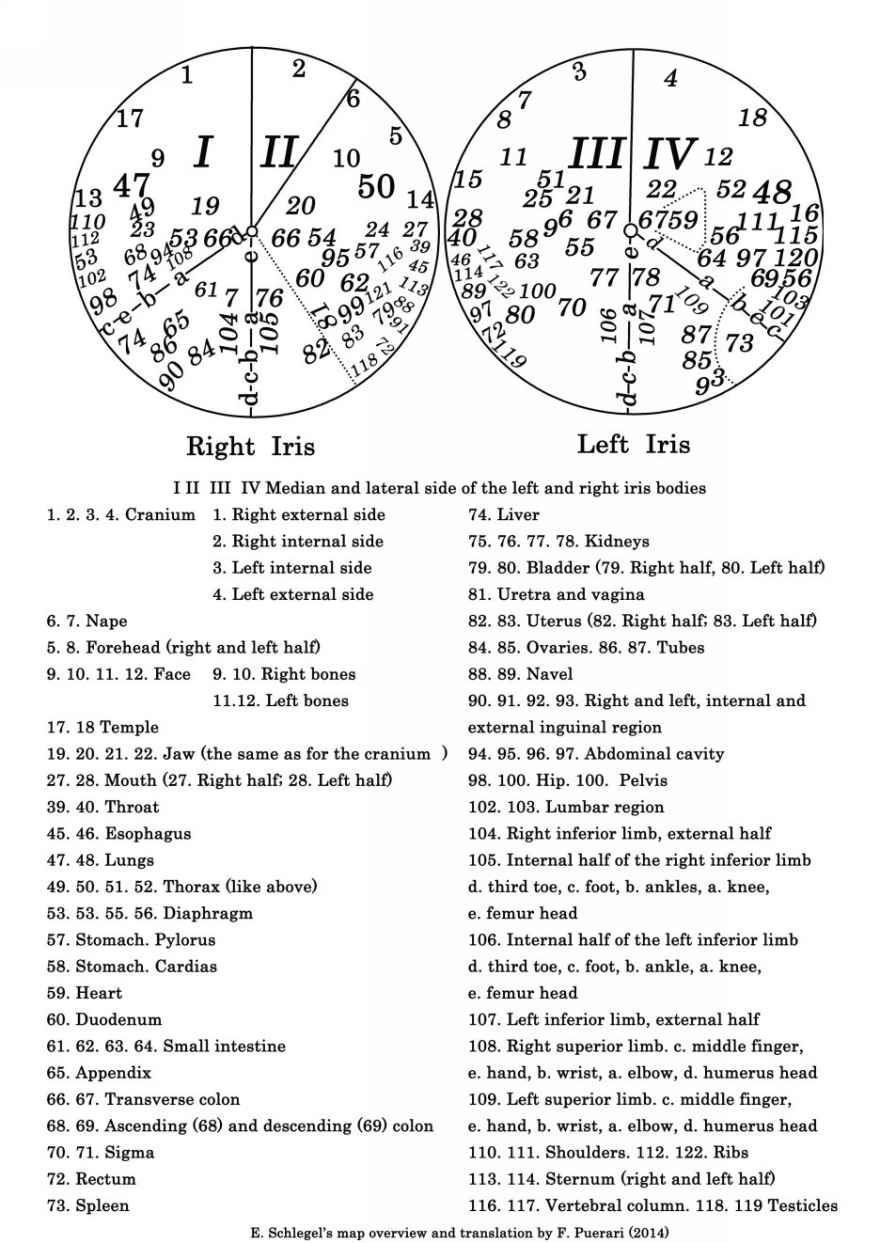 E SCHLEGELS CLINICAL REPORT MAP 1886 In the decades following the - photo 9