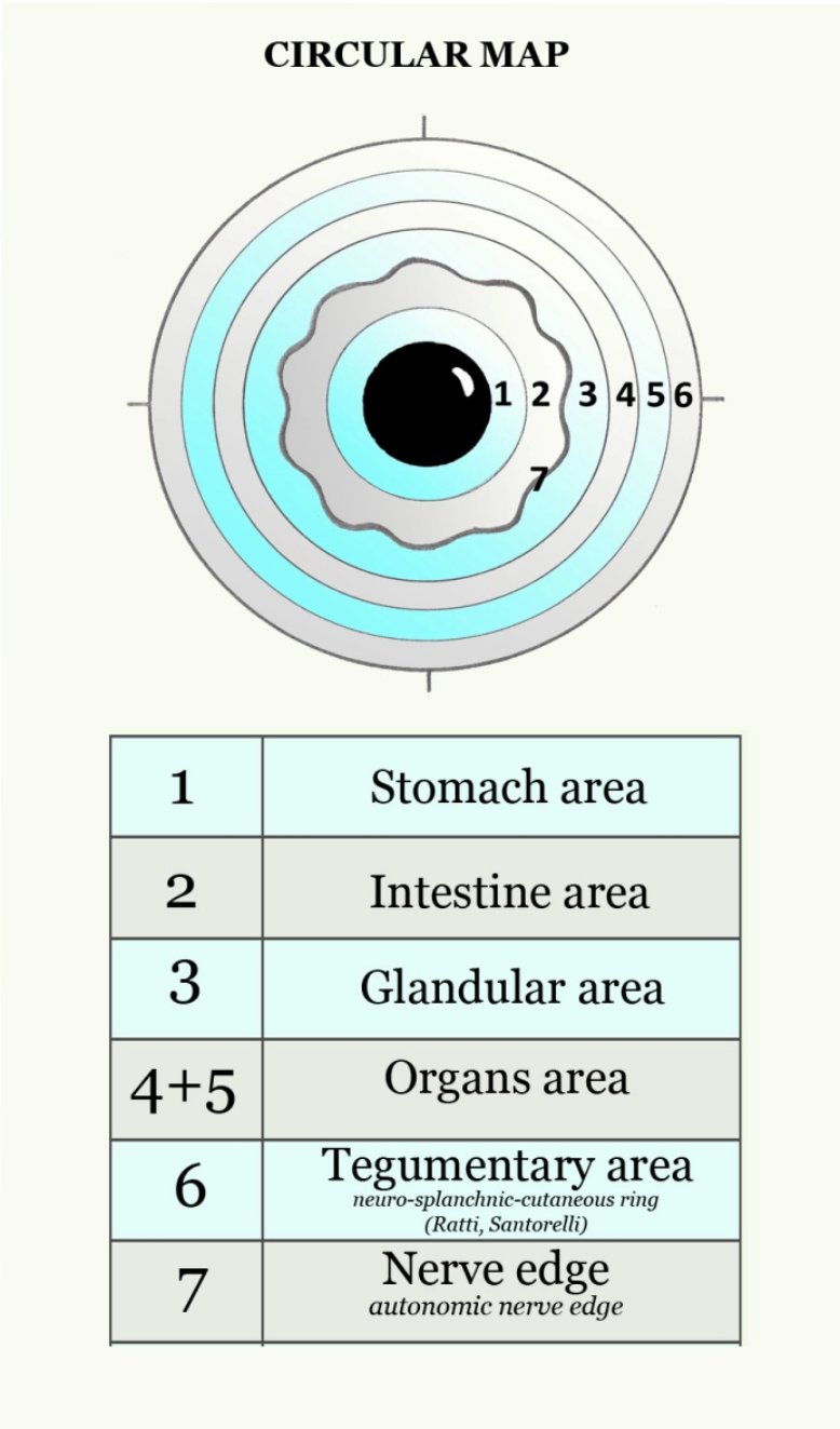 OVERLAPPING The maps submitted in this e-book are a compendium of the most - photo 11